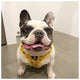 Soapy Moose Busy Bee Harness Large