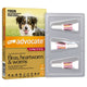 Advocate Flea Heartworm and Worm Treatment for Large Dogs 10 to 25 KG