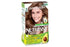 Garnier Nutrisse Hair Colour 6.0 Acorn