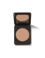 Runway Room 14G Brosh Pan Only Shade Medium