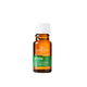 Oil Garden Jasmine 3% in Jojoba Essential Oil Dilution 12mL