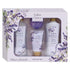 Lulu Grace Classic Lavender Pamper Gift Set 5 Piece