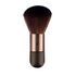 Nude By Nature Mini Mineral Brush No 24