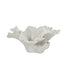 Coast to Coast Home White Poly Coral Flower