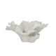 Coast to Coast Home White Poly Coral Flower