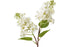 Lilac Spray Artificial Flower Stem Plastic White 7x18x66CM