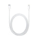 Apple Compatible C to Lightning Cable (1m)