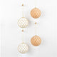 Little Cactus Au Papaya Fable Hanging Sparkle Baubles Assorted Set of 4
