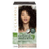 Clairol Natural Instincts 4 Dark Brown 1 Pack