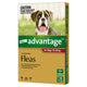 Advantage Dog 10-25Kg Large 6Pk (Red)