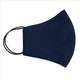 Blue Rapta Reusable WR Cotton Face Mask Small