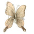 Theatre Seasonal Decor Champagne Double Wing
