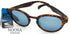 Carve Noosa Sunglasses