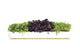 Urban Greens Micro Herbs Window Sill Box Grow Kit