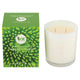 BX Earth Scented Soy Candle Lime and Coconut 300g