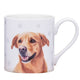 Ashdene Paws And All Golden Retriever Mug 380ML