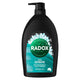 Radox Men 2 in 1 Shower Gel and Shampoo Extreme with Charcoal and Mint 1L