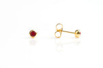 Adnohr Sys75 24ct Gold Plated Ear Piercing Stud With 4mm Ruby Bezel