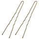 Lady Jayne Hair Pins Brown 25 Pack