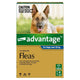 Advantage Spot On Flea Control For Dogs Over 25KG 4 Packs