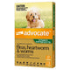Advocate Flea & Wormer Spot-On For Dogs Up To 4KG Pack