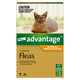 Advantage Flea Treatment For Cats Up To 4KG 6 Packs
