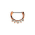 Rossan Septum Hinged Segment Ring BJ1306R