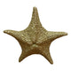 Theatre Seasonal Decor Champagne Starfish 30CM