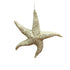 Theatre Seasonal Decor Starfish Ivory 17cm