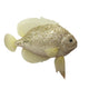 Theatre Seasonal Decor Fish Champagne 30CM