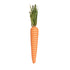 Holly and Ivy Large Carrot
