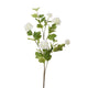 Holly And Ivy White Viburnum Snowball Stem 106CM