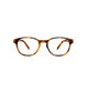 Azzurri Bari 2 Reading Glasses in Tortoiseshell 1.50