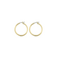 Rossan Fe4306 Hoop 30Mm Gold