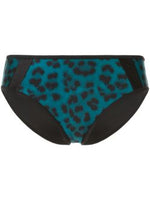 Duskii Oceane Full Brief Bottom Leopard Teal
