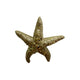 Theatre Seasonal Decor Starfish Champagne 11CM
