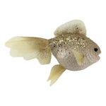 Theatre Seasonal Decor Champagne Fish 28cm