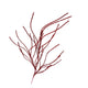 Theatre Imports Red Glitter Spray