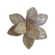 Theatre Seasonal Decor Pink Poinsettia