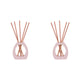 2 pack Arome Ambiance Arch Series Liquidless Reed Diffuser Set Peach Oolong Scent