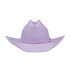 files/avenel-the-jolene-felt-hathatscity-hatters-8757826.jpg