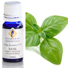 Gumleaf Essential Oil Basil Sweet Linalool 10 ML