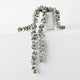 Floral Interiors String of Pearls in Pot Grey Green 45CM