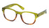 TerryWhite Chemmart Ladies Reading Glasses +1.50 Magnification