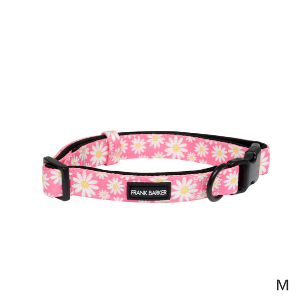 Frank Barker Pink Daisies Collar M