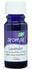 Aromae Lavender Oil 12ML