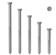 Screw Decking Silver 304 S2 5.5X60 Sit20 Anchormark PK500