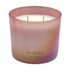 Le Desire Le Reve Plum Fig Soy Candle