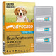 Advocate Dog 4 to 10kg Medium 3pk Teal