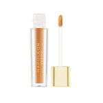 Napoleon Camera Finish Concealer Mpc17